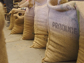 Burlap Bags of Coffee Beans